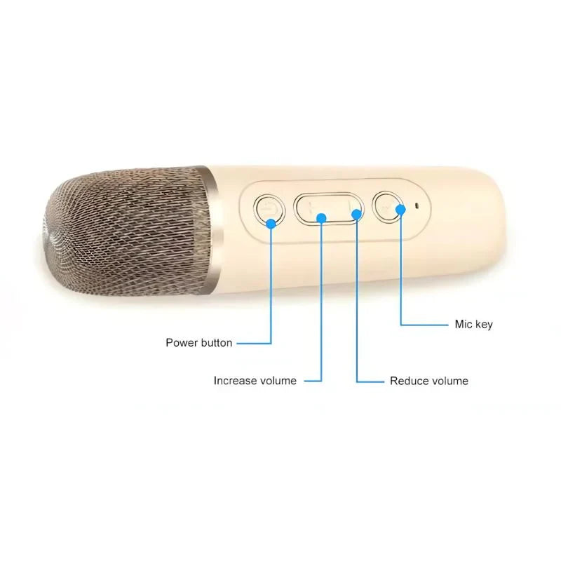 K12 Wireless Karaoke Bluetooth Speaker with Microphone